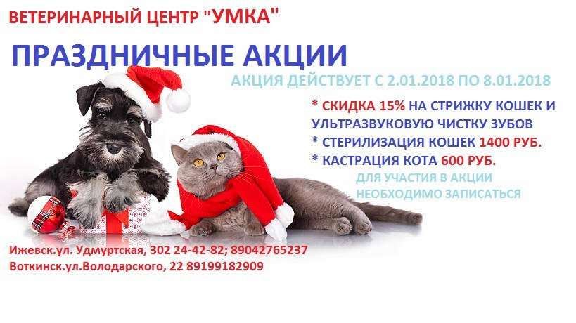 Ветлечебница выборг карта
